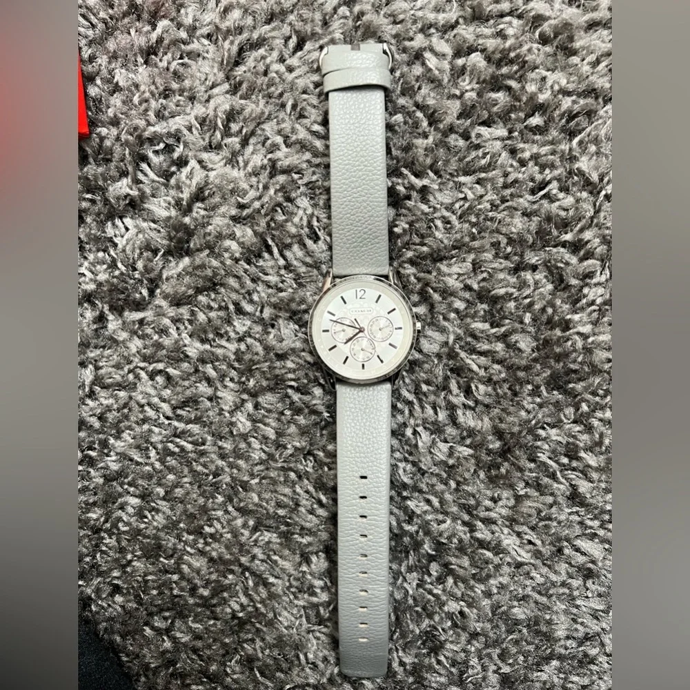 Coach Watch - Picture 2 of 5